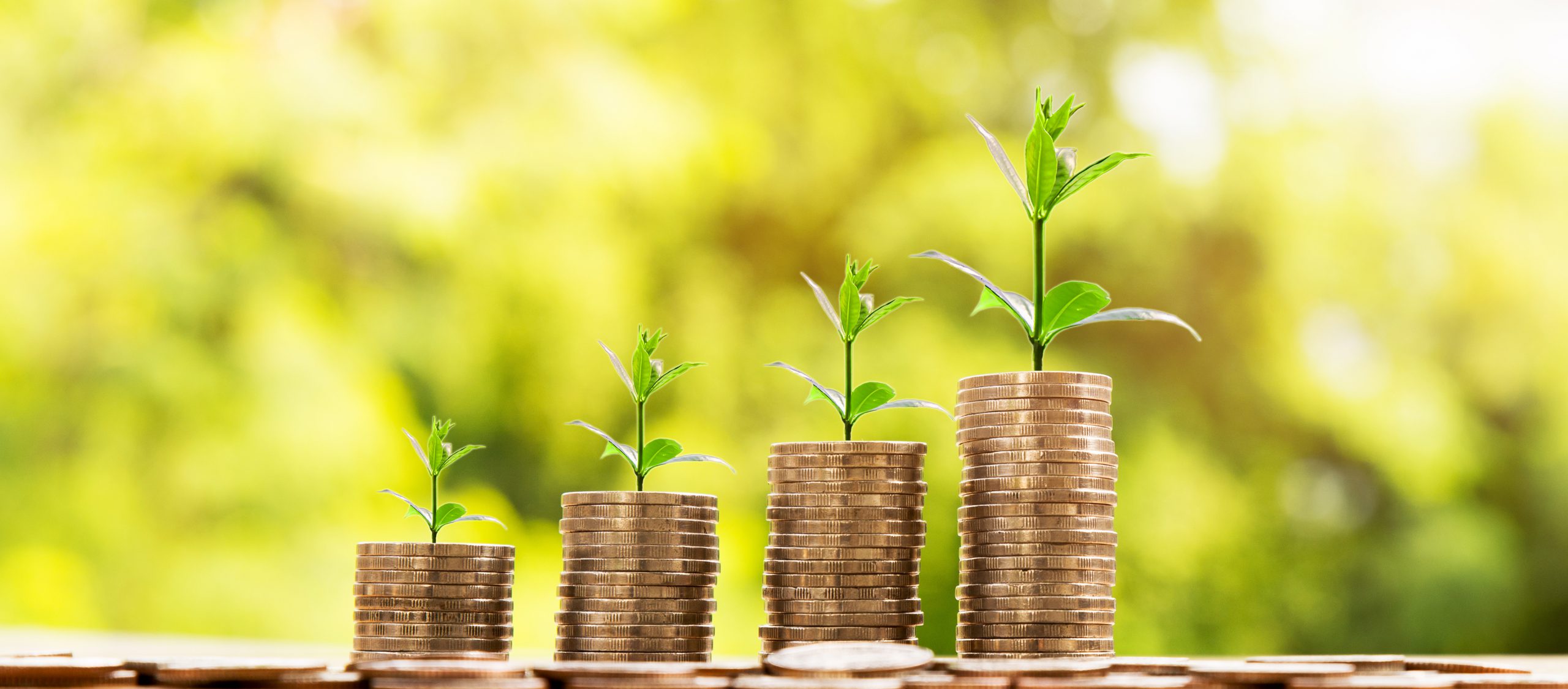 Innovation Loans Round 22 - Applicant Briefing Webinar and Deep-dive Workshops